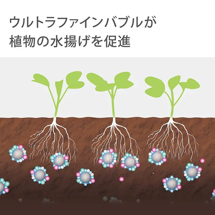 ウルトラファインバブルが植物の水揚げを促進