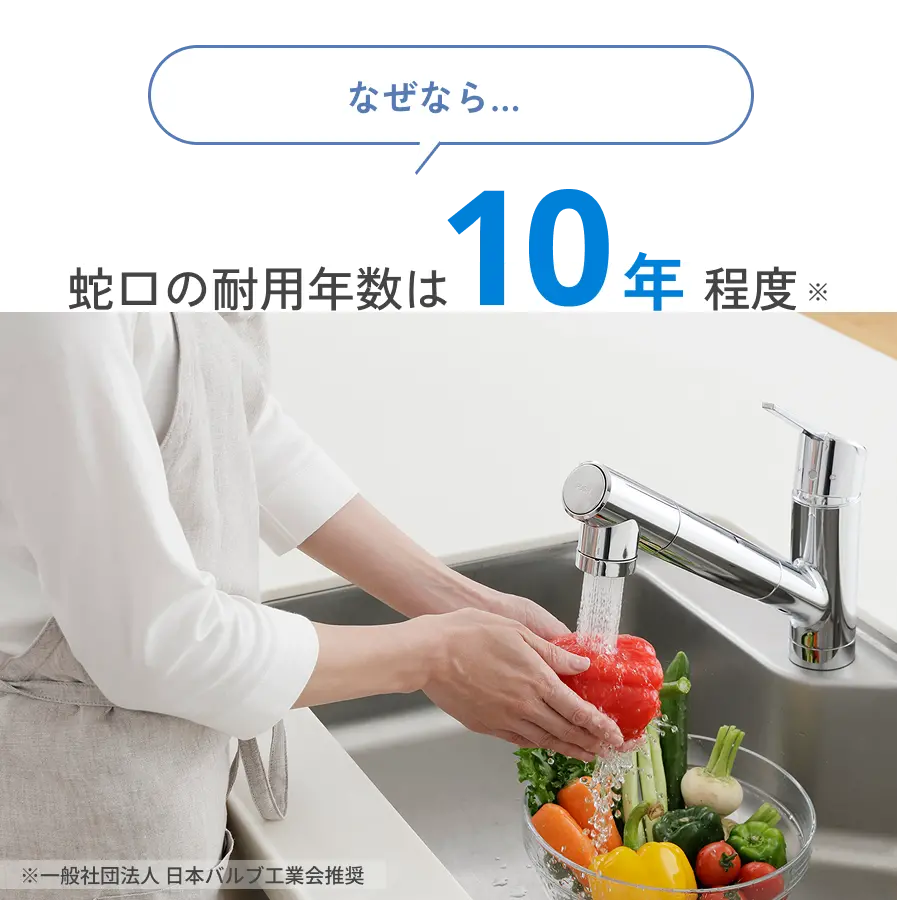 タカギ takagi 浄水器本体 JH030JA3MLG メンテナンスパック メンテナンスパック+オプション | 株式会社タカギ | ネットストア