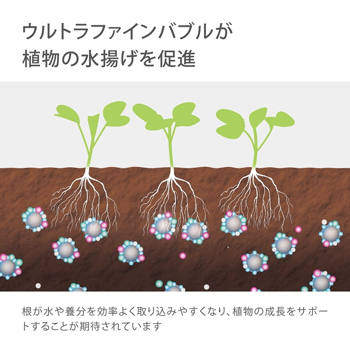 ウルトラファインバブルが植物の水揚げを促進